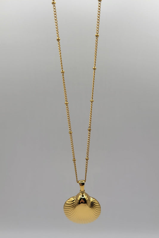 cockle shell necklace