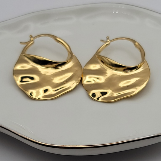 Sarah hoops